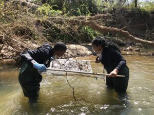 WSSU Macroinverts (Two WSSU students in creek holding net