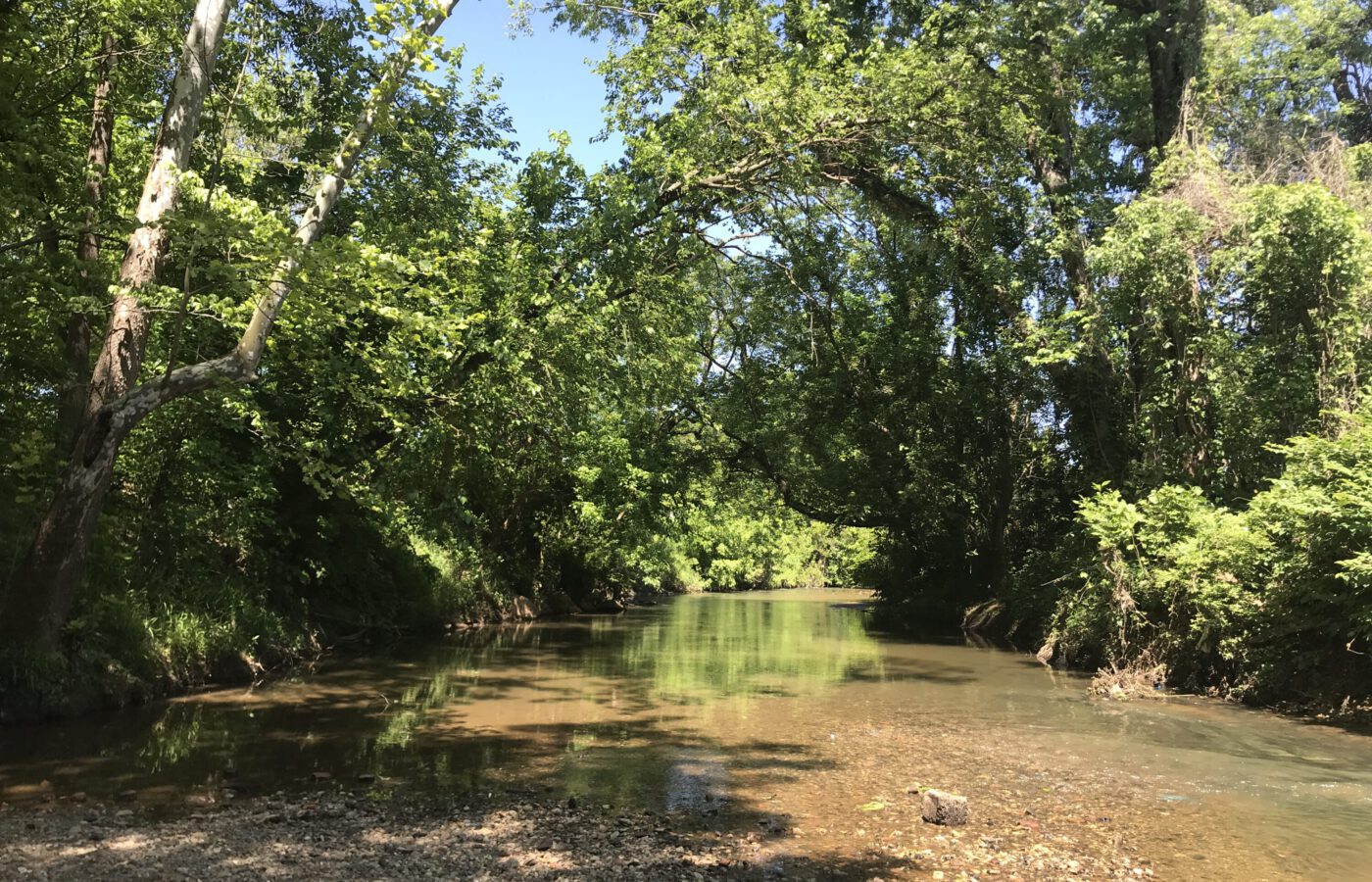 Salem Creek in Winston-Salem, NC