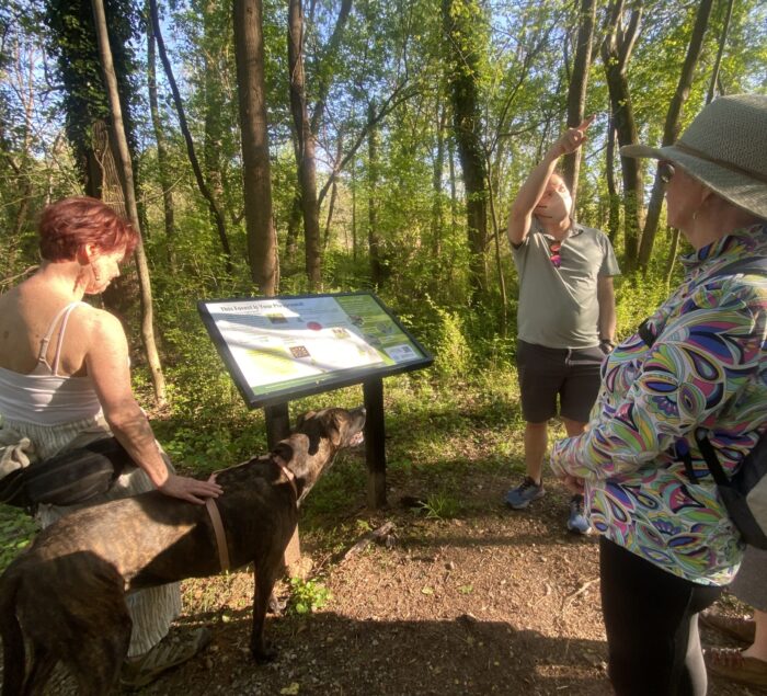 Have you seen our new educational signage along Gateway’s Forest Discovery Trail? Seven new interpretive signs along the trail share information about unique characteristics in the area around them, including tree species that you can discover for yourself! 