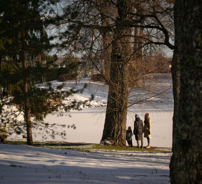 Winter is a magical time to get outside and explore with your children. There are many opportunities to learn about how the outdoors, flora, and fauna change during this time. Our urban nature preserve, located near downtown Winston Salem, offers ample space for exploration. We have different areas for you to explore including the Forest Discovery Trail, the meadow, the pollinator garden, and the creek.